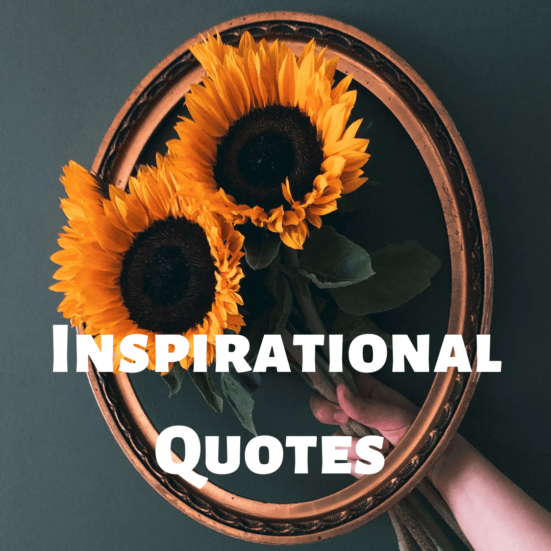 Inspirational Quotes | Encourage Quotes |  Success Quotes April 2023