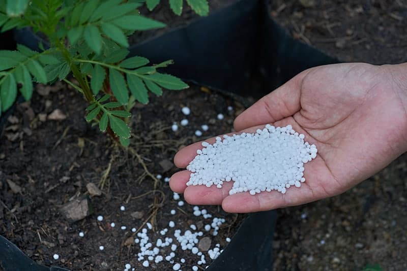 Understanding The Role Of Liquid Calcium Fertilizer In Soil Health