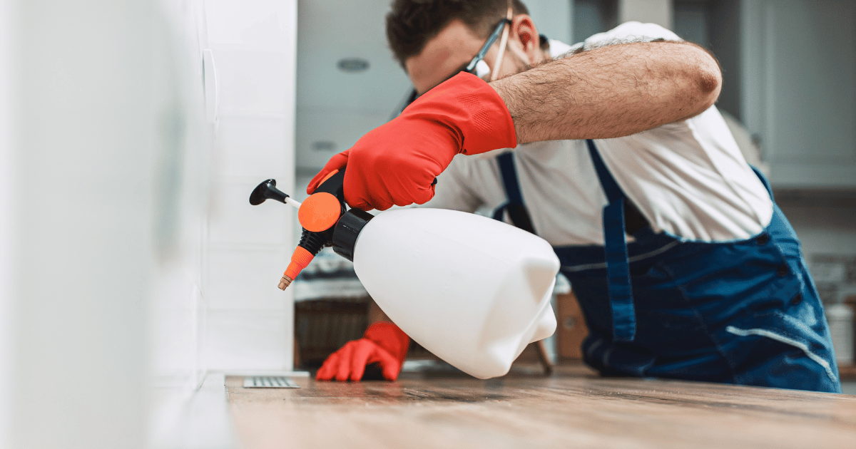 Protecting Your Property: The Advantages Of Hiring Pest Solutions In Los Angeles