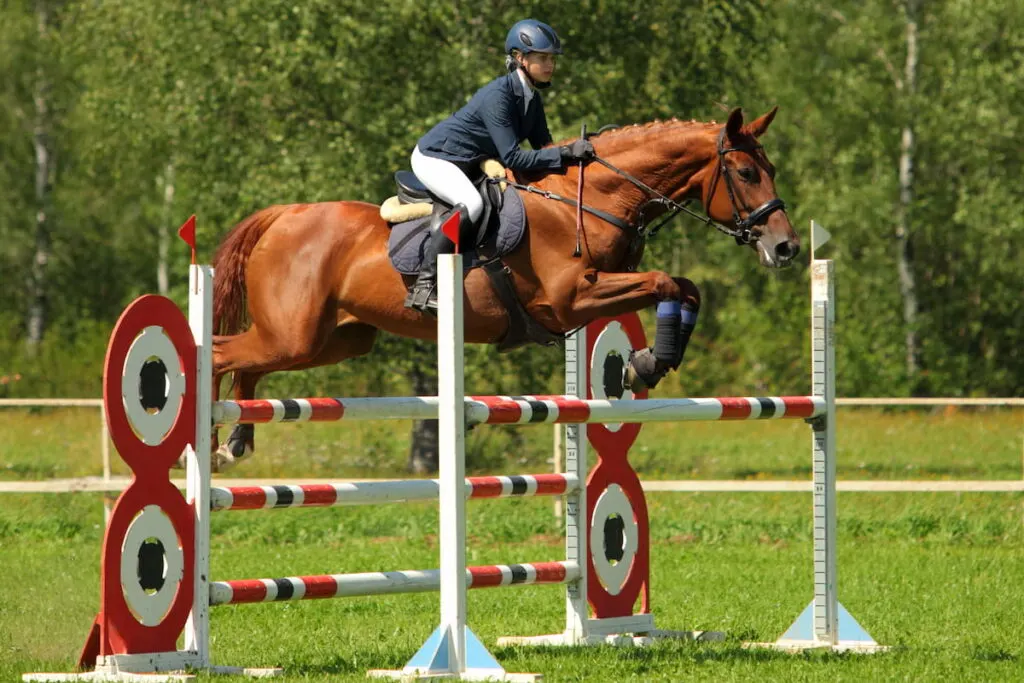 Hurdles Made Easy: A Guide To Choosing Plastic Horse Jumps