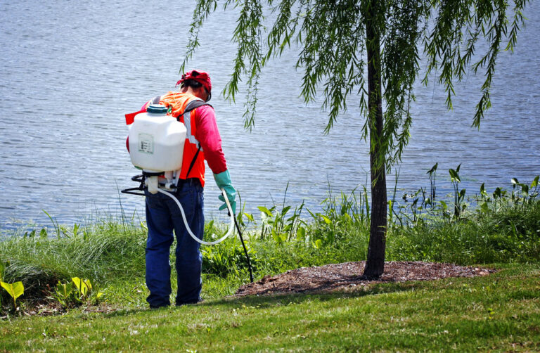 The Importance of Weed Control for Your Residence and Garden