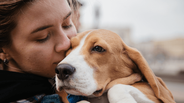 Understanding the Ins and Outs of Pet Insurance