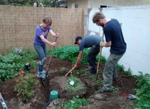 Gardening with Greywater